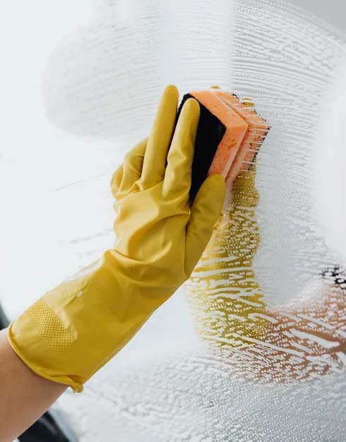 Scrubbing Window