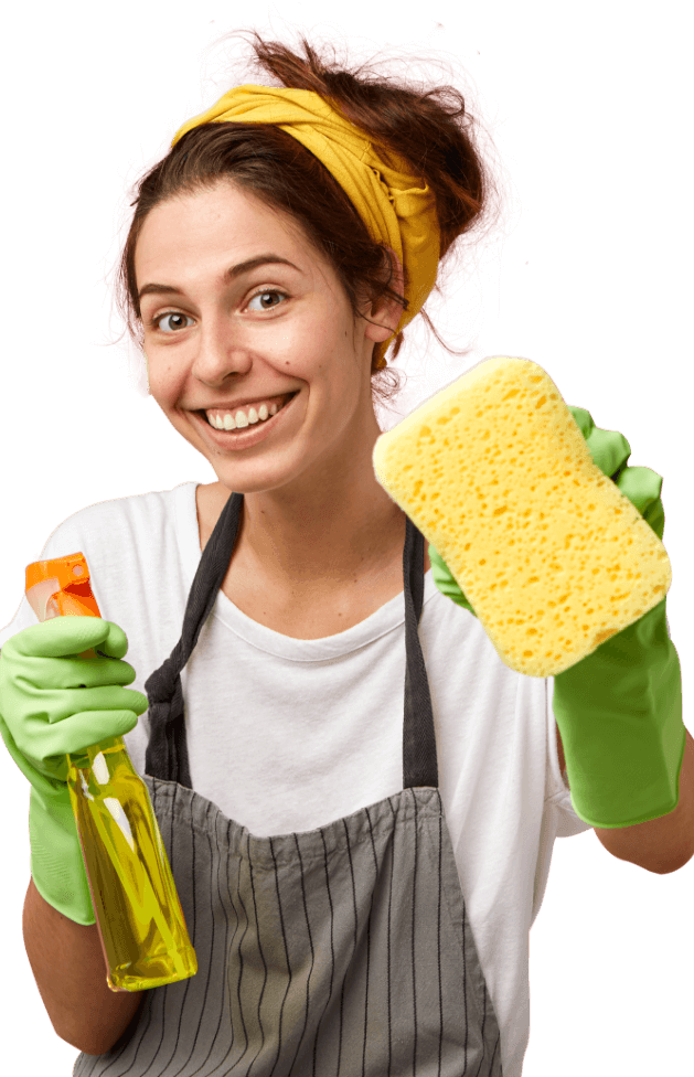 Cleaning Professional